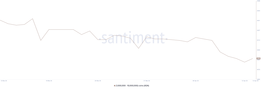Addresses Holding Between 1 Million and 10 Million ADA. Source: Santiment.