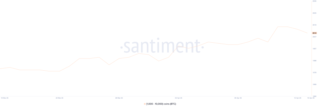 Bitcoin Whales. Source: Santiment