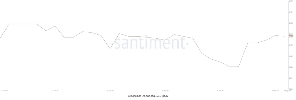 Addresses Holding Between 1 Million and 10 Million ADA. Source: Santiment