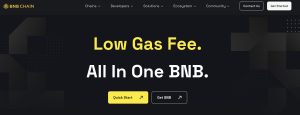 BNB cryptomunt voor de bear market