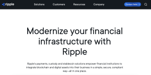 XRP bear market crypto