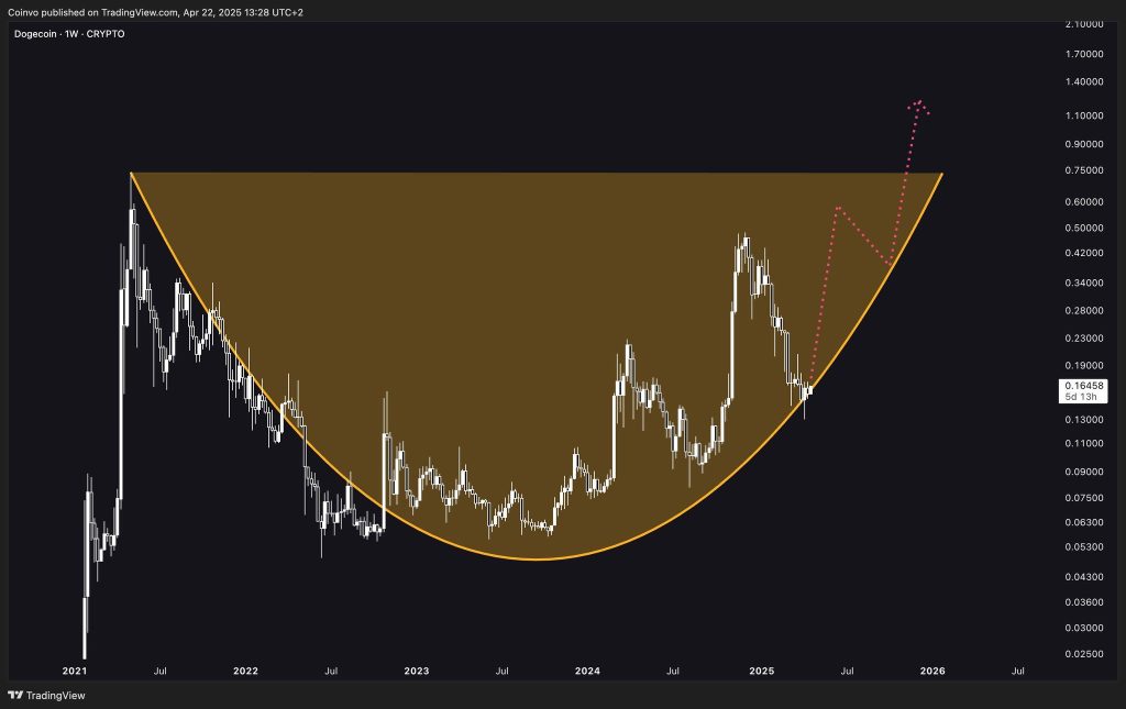 Cup and handle patroo