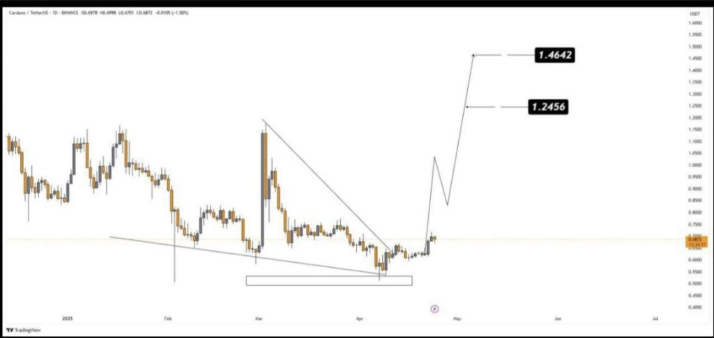 Cardano koers
