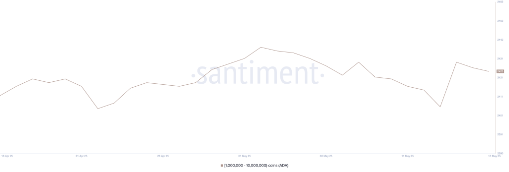 Addresses Holding Between 1 Million and 10 Million ADA. Source: Santiment