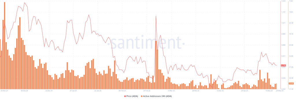 Daily Active Addresses-index