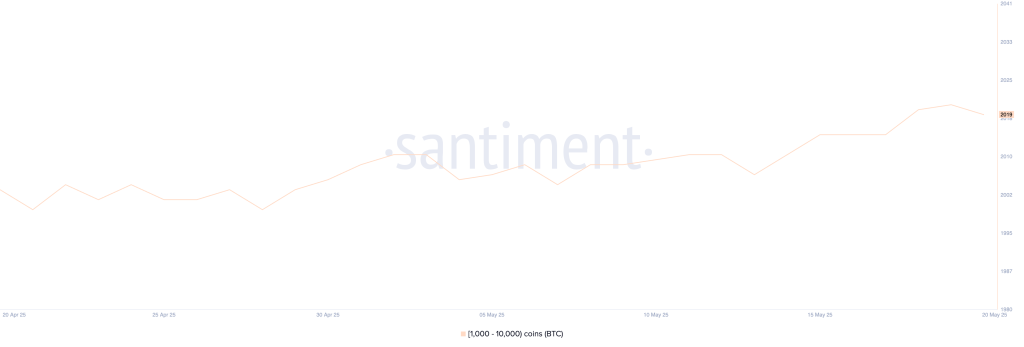 Bitcoin Whales. Source: Santiment