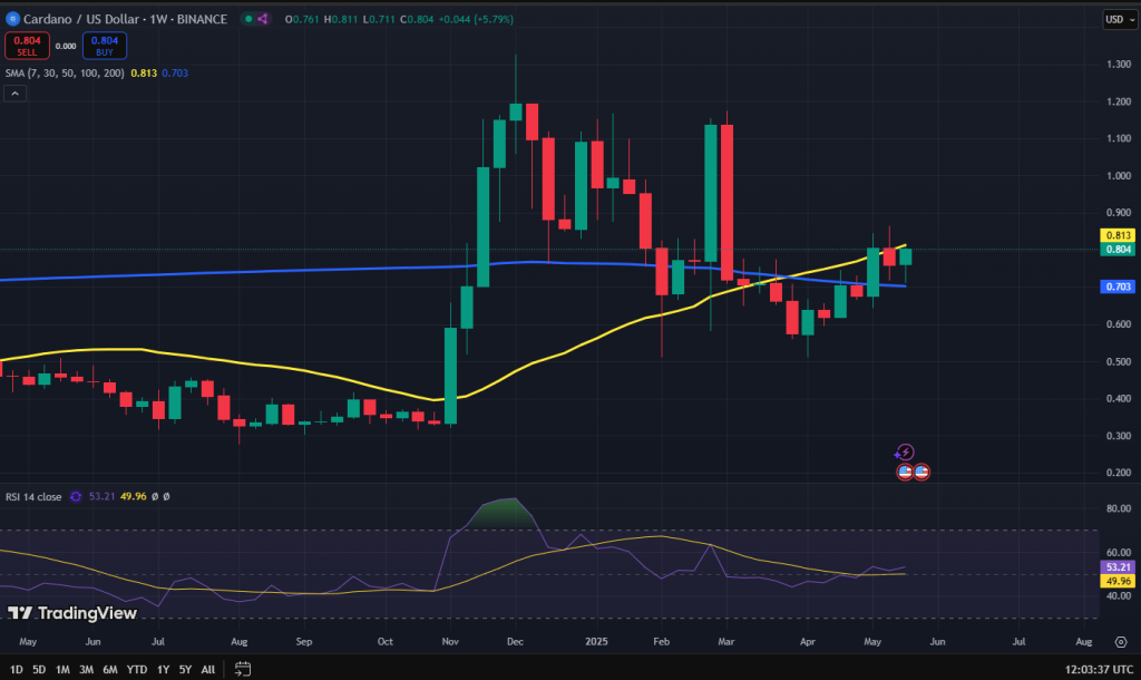 Cardano koers grafiek