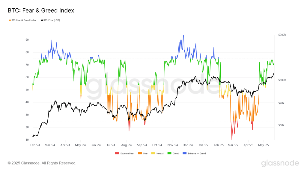 Bitcoin Fear and Greed Index. Source: Glassnode