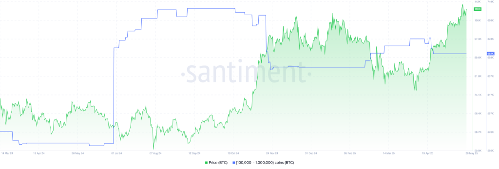 BTC Whales Sell Their Holdings