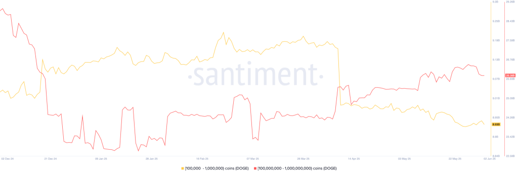 Dogecoin whale activiteit