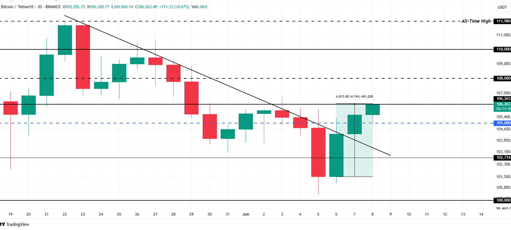 Bitcoin Price Analysis. Source: TradingView