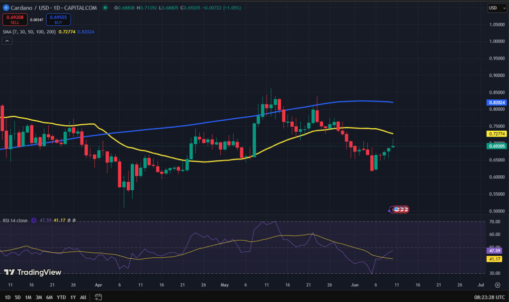 Cardano koers grafiek