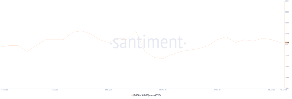 Bitcoin Whales. Source: Santiment