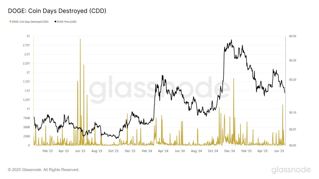 CDD Dogecoin