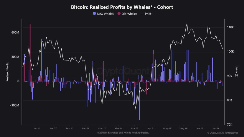 Bitcoin Whales Realized Profits. Source: CryptoQuant