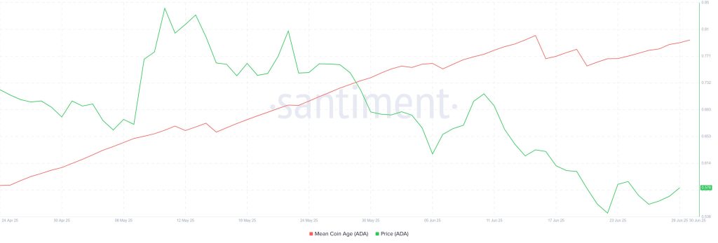Cardano MCA. Source: Santiment