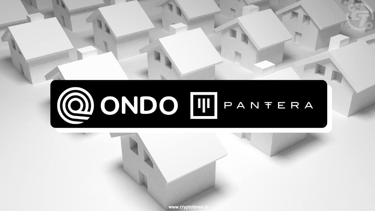 Pantera x ondo