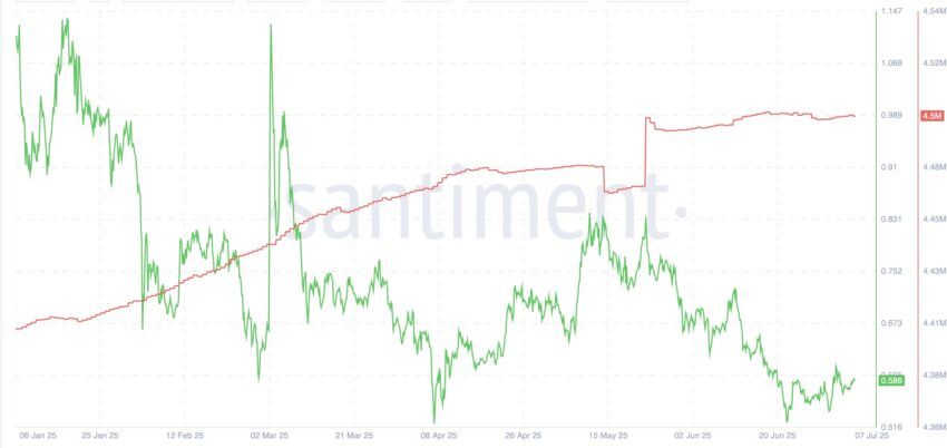 A record surge in the number of holders: Santiment
