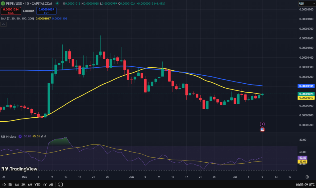 Pepe coin koers grafiek