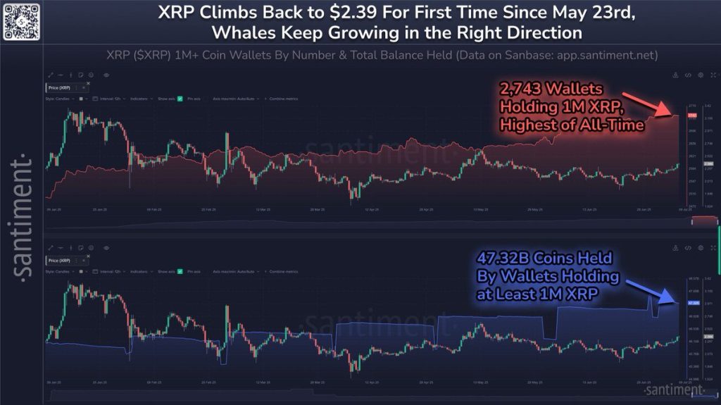 Whales accumuleren XRP