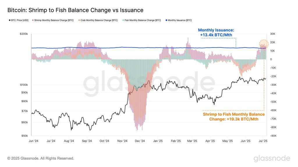 Bitcoin Shrimp To Fish Balance. Source: Glassnode