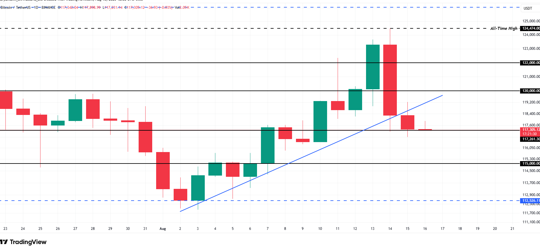 Bitcoin Price Analysis. Source: TradingView