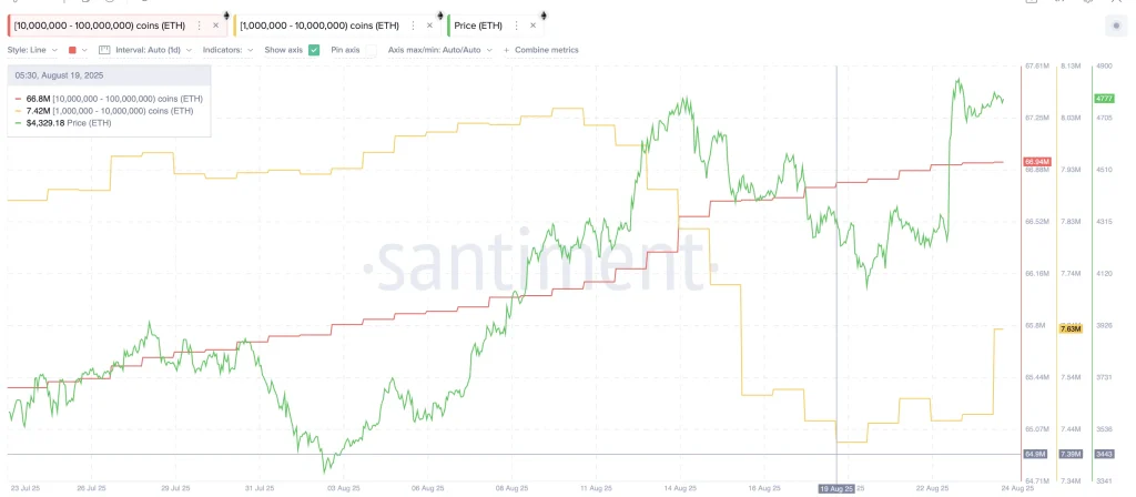 Ethereum Holders Continue To Accumulate: Santiment