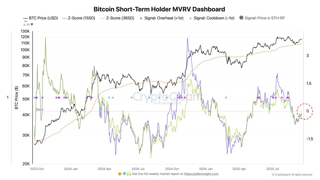 BTC STH - reden voor all-time high