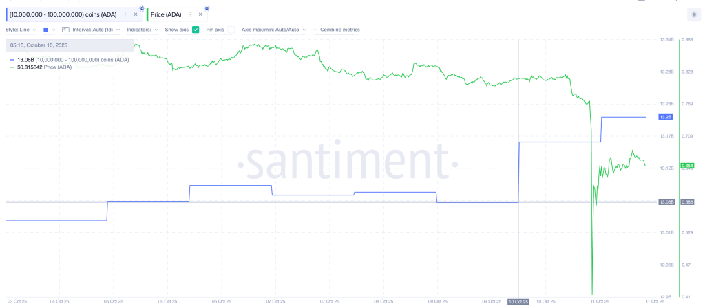 Cardano Whales: Santiment