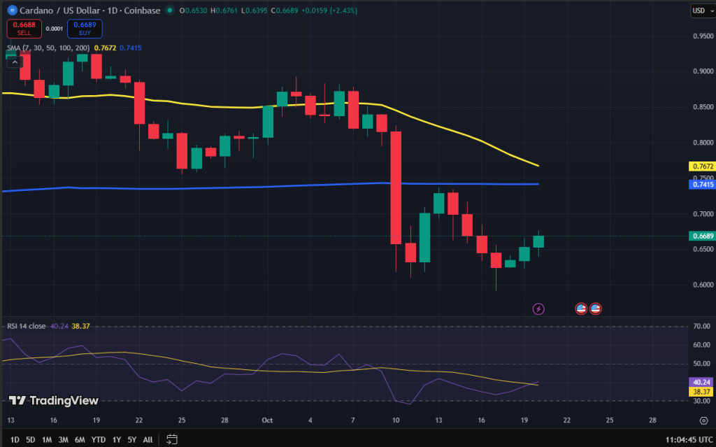 Cardano koers grafiek