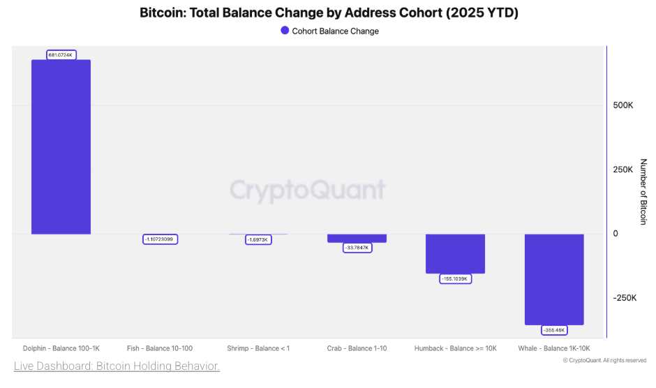 Bitcoin: Total Balance Change by Address Cohort (2025 YTD). | Source: CryptoQuant