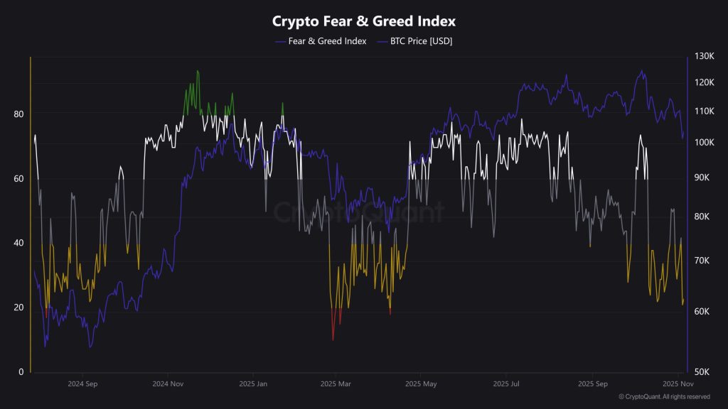 Crypto Fear & Greed Index