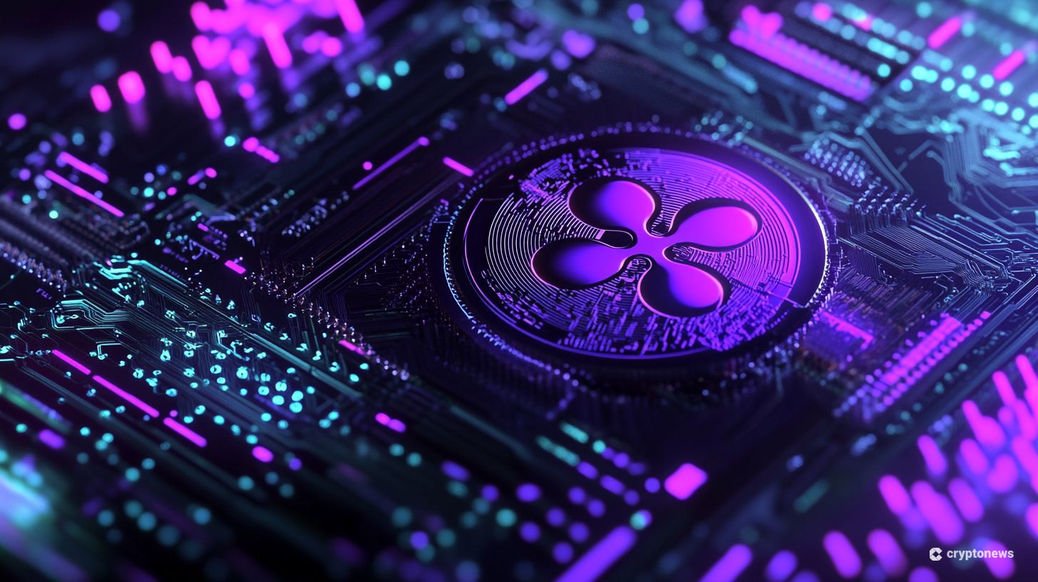 Canary Capital CEO: XRP koers naar ATH in 2026 – nu Ripple kopen?