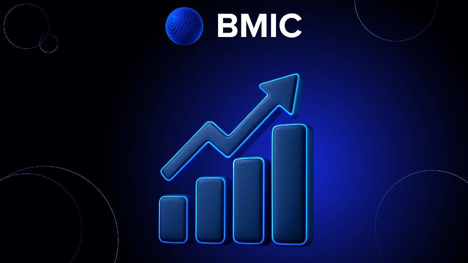BMIC, roadmap