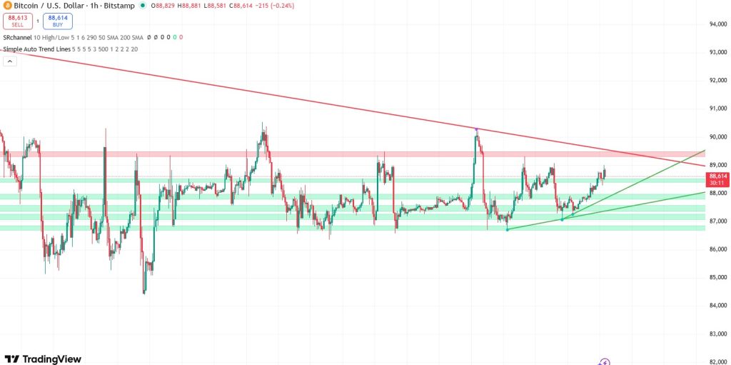 Bitcoin koers verwachting 2 january - bron TradingView