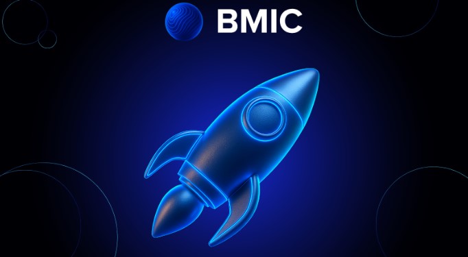 BMIC, bewaring, staking en betalingen