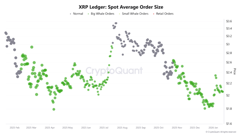 XRP SAO indicator