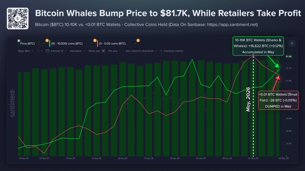Bitcoin whale count