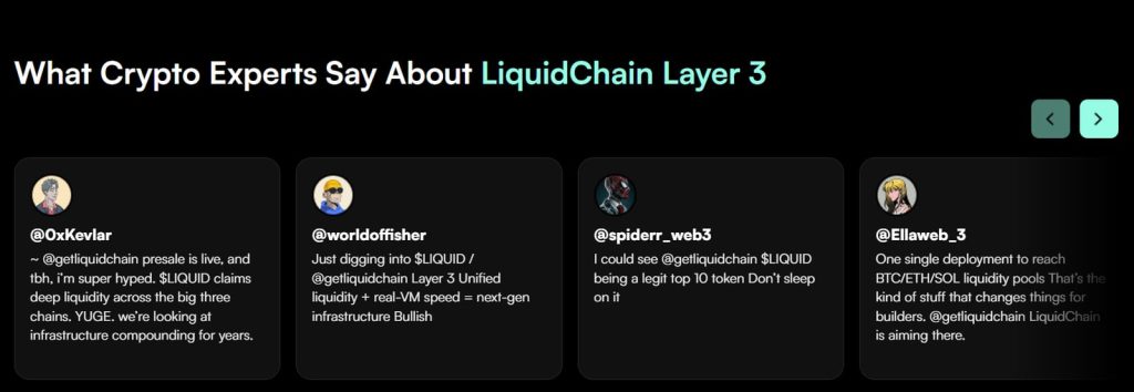 LiquidChain presale crypto experts mening