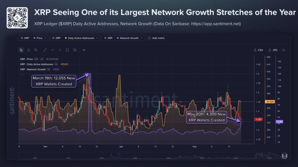 XRP wallet groei deze week
