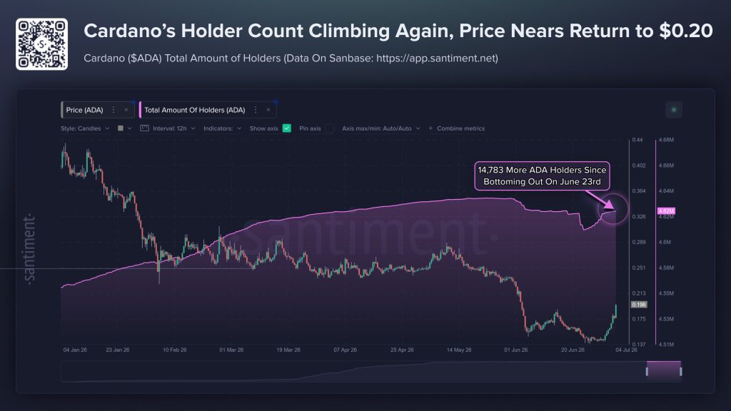 Cardano wallet groei