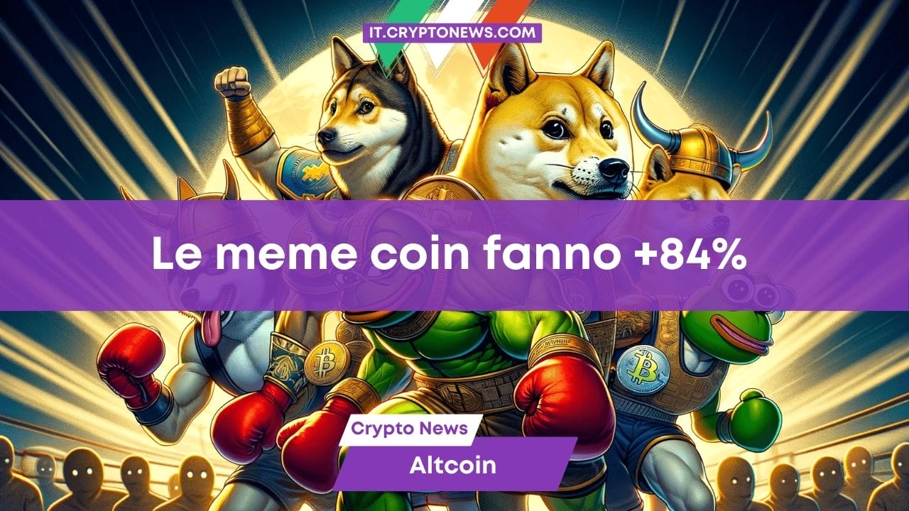 Meme Coin