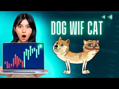 Prossima Meme 100x in rete SOL? Recensione Dog Wif Cat