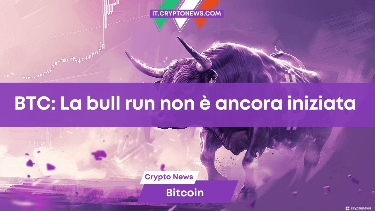 L’esperto non ha dubbi: la vera bull run di Bitcoin non è ancora iniziata