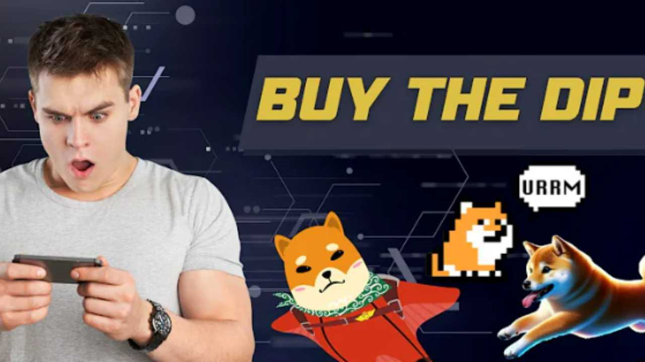 Meme coin crash?! Le top 5 meme da comprare ora in questo dump!