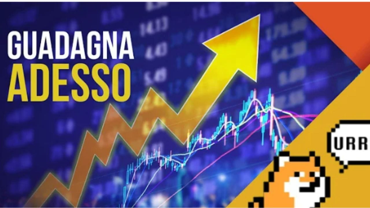 Guadagna Già ADESSO con Questa Moneta MEME – Aggiornamento Playdoge