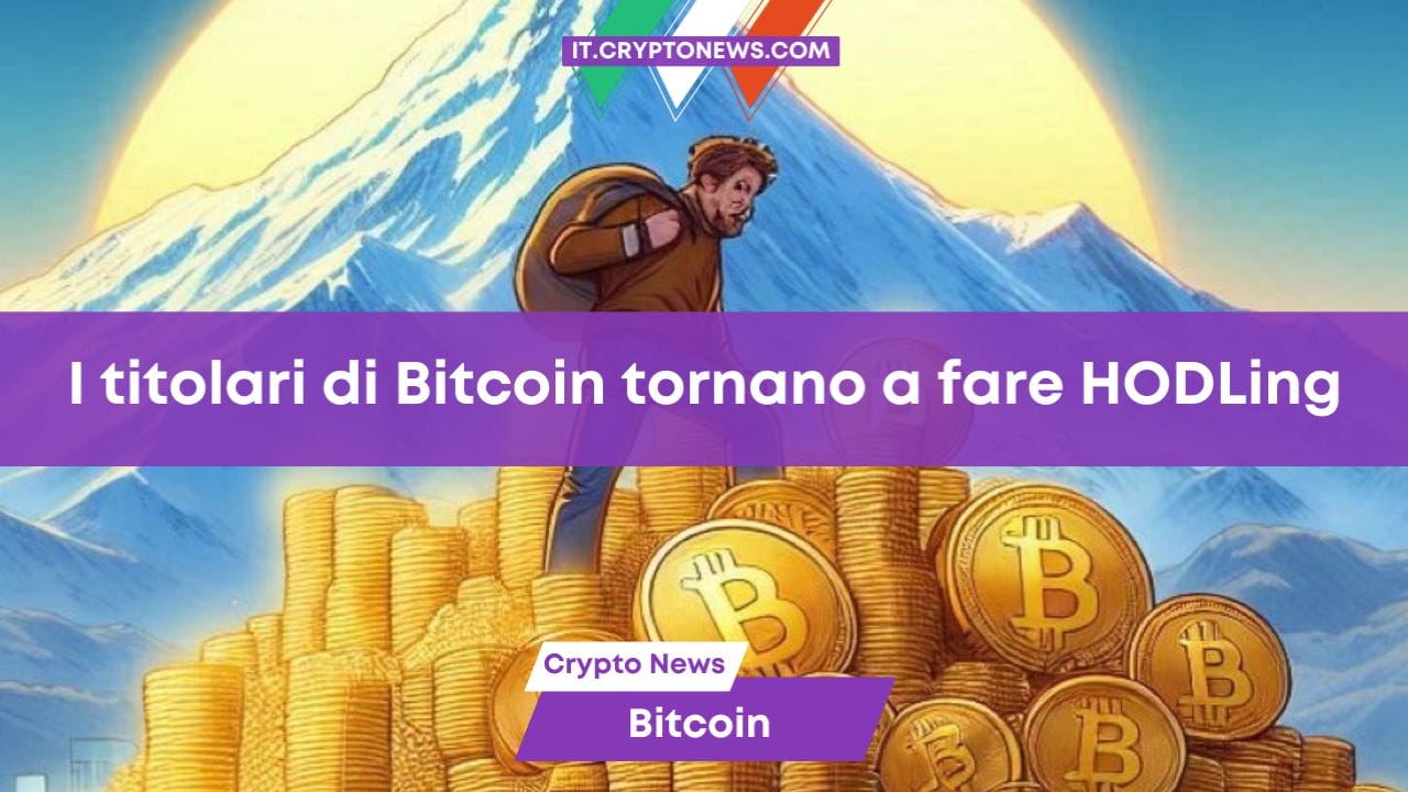 I titolari di Bitcoin tornano a fare HODLing