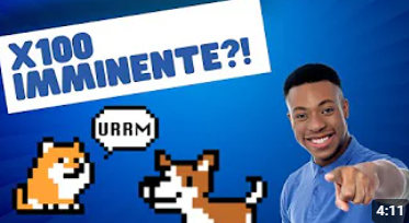 PLAYDOGE LANCIATO! Diamo un’occhio al Grafico