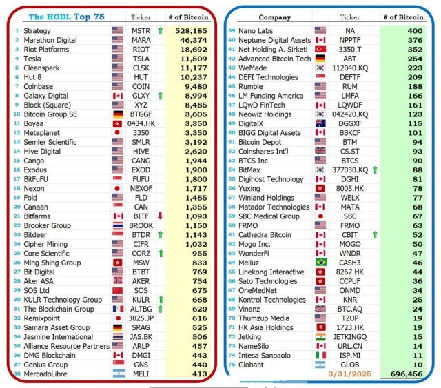 Fonte: HODL15 Capital