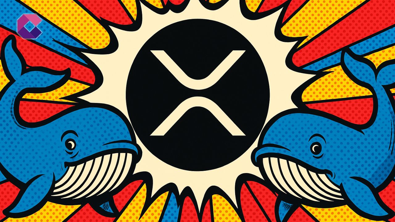 XRP